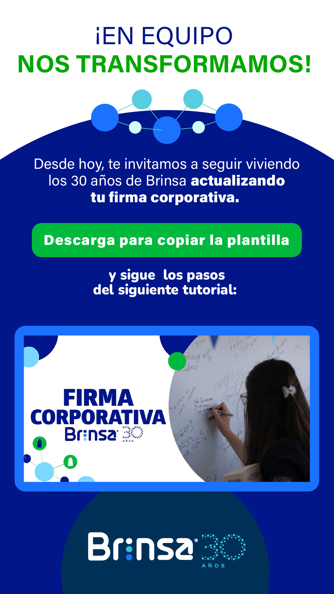 Brinsa boletin