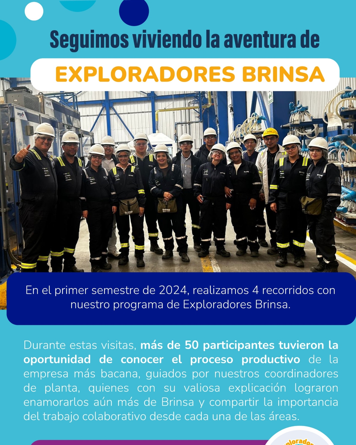 Brinsa Boletin