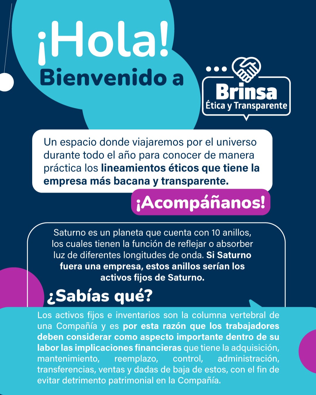 Brinsa Boletin