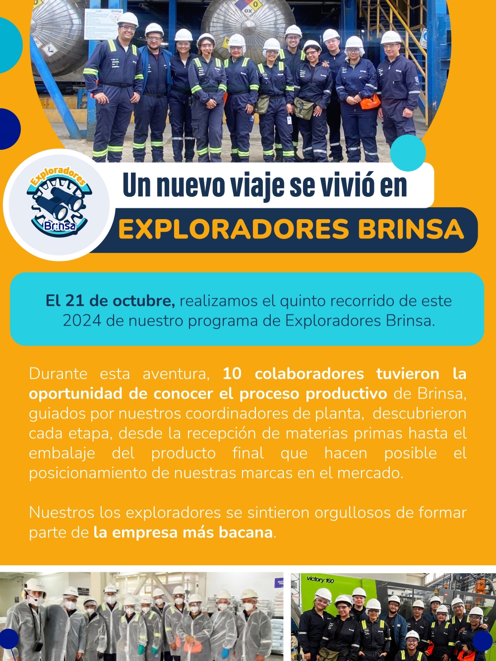 Brinsa boletin