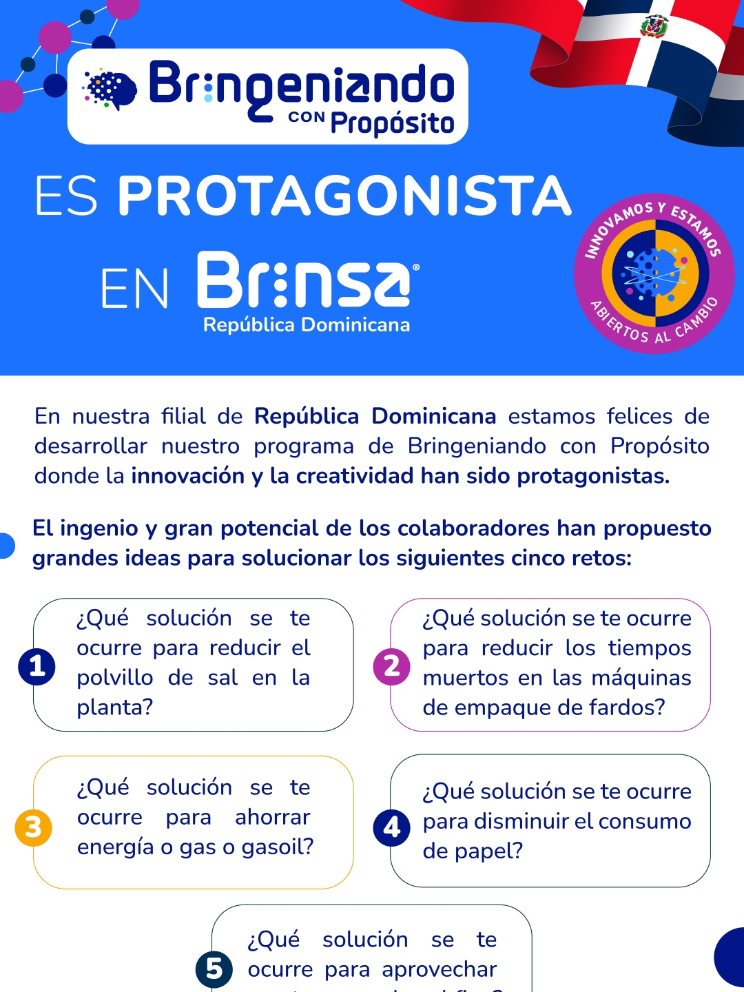 Brinsa boletin