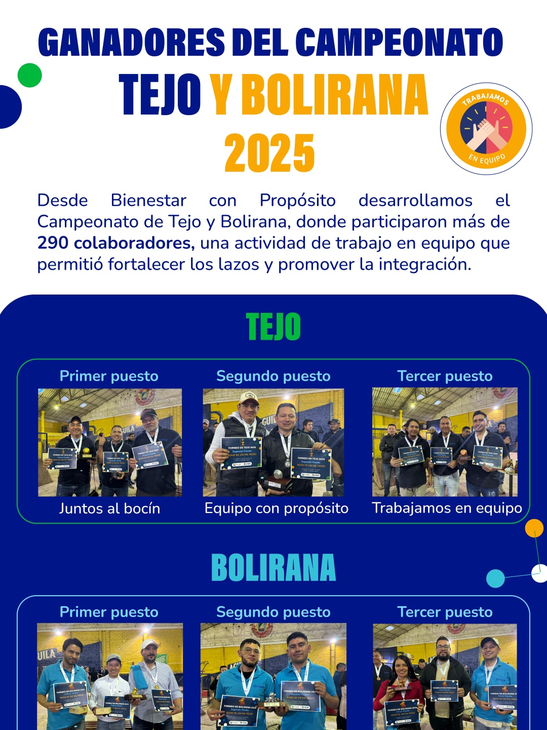Brinsa boletin