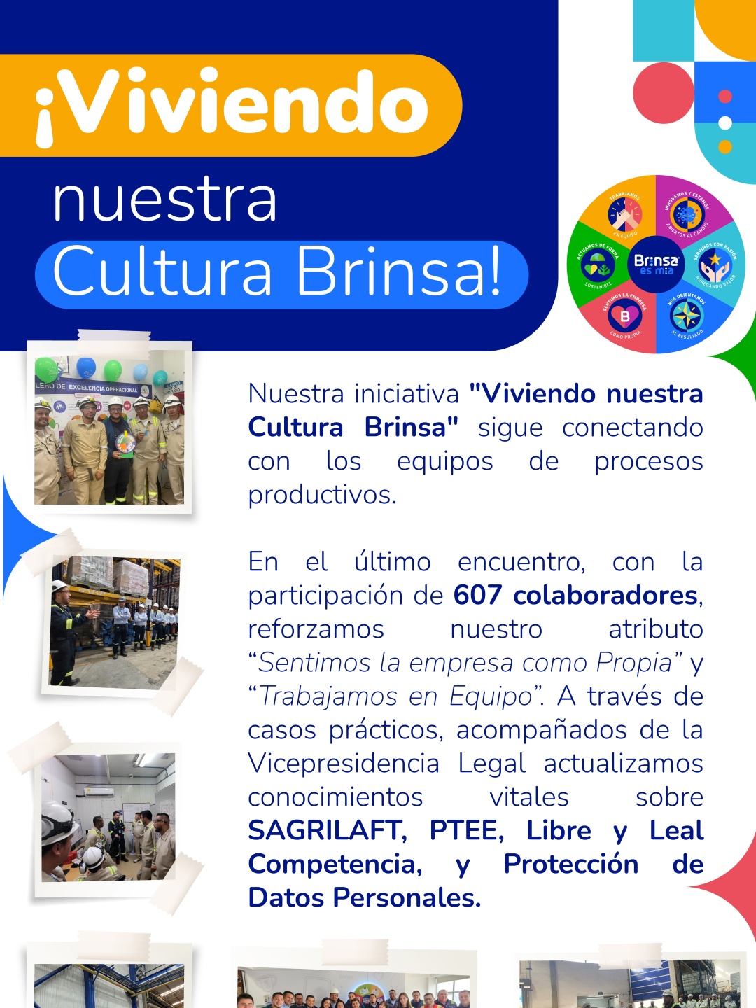 Brinsa boletin