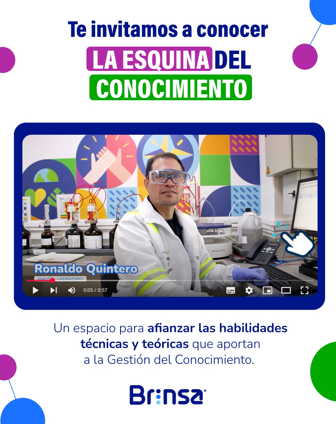 Brinsa boletin
