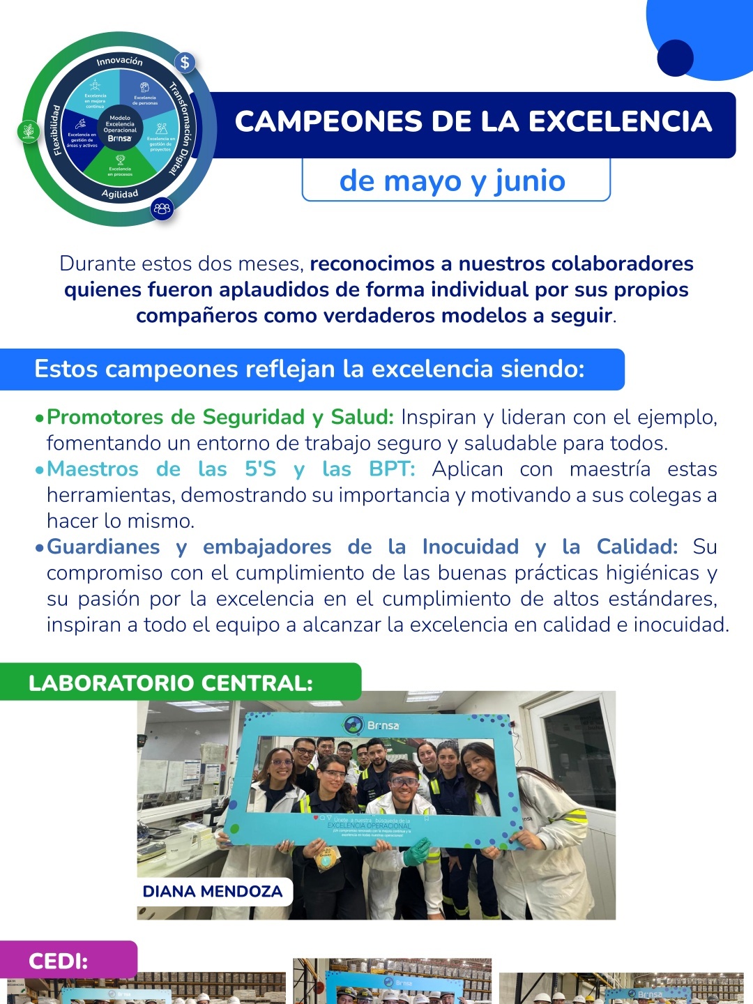 Brinsa boletin