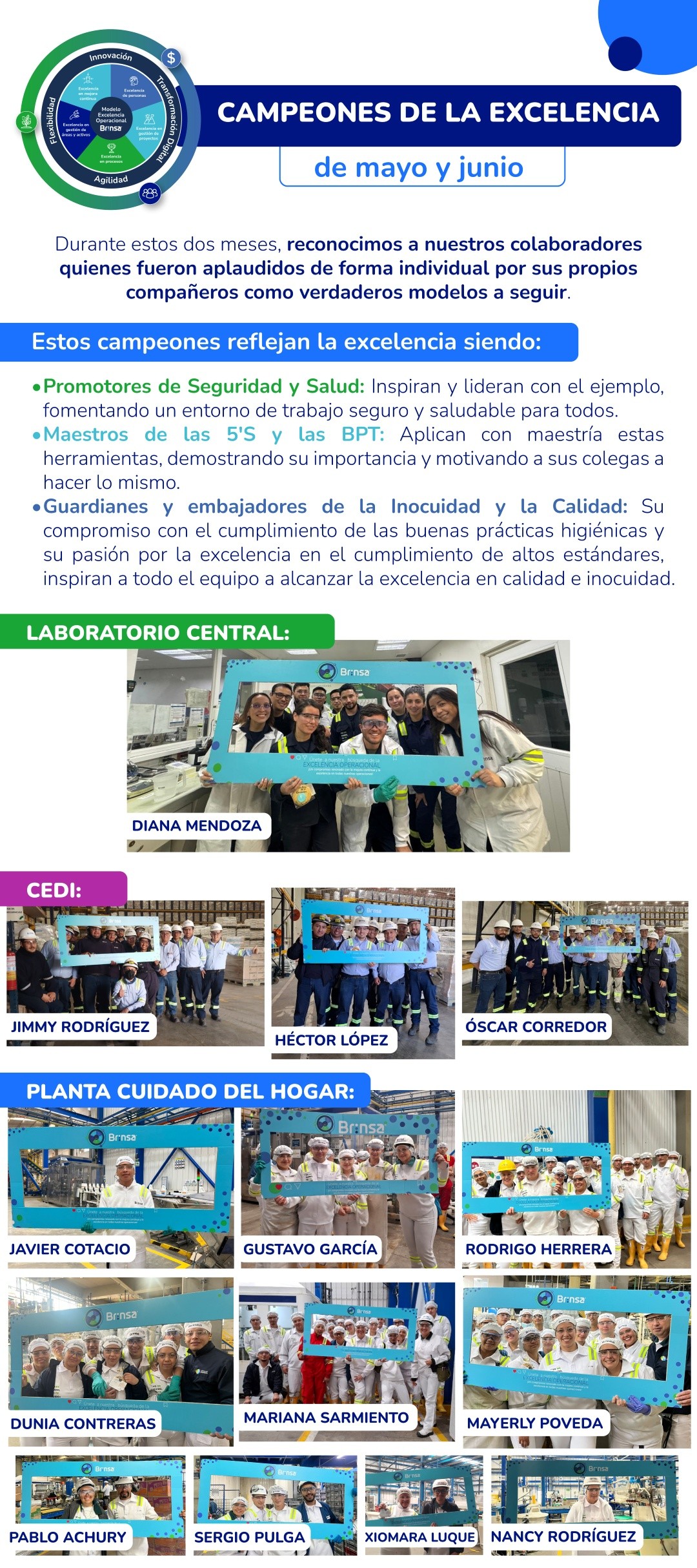 Banner Brinsa