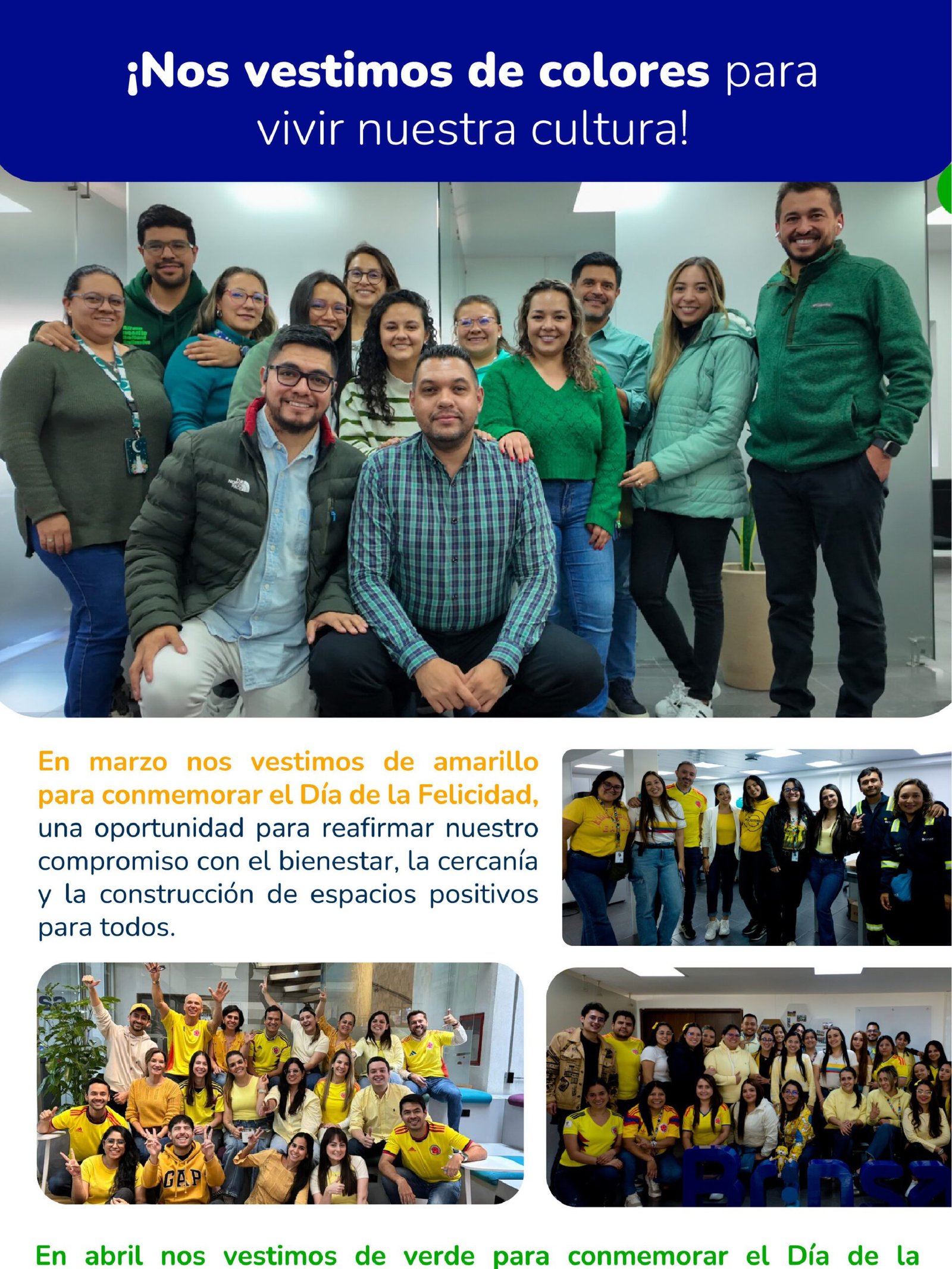 Brinsa boletin