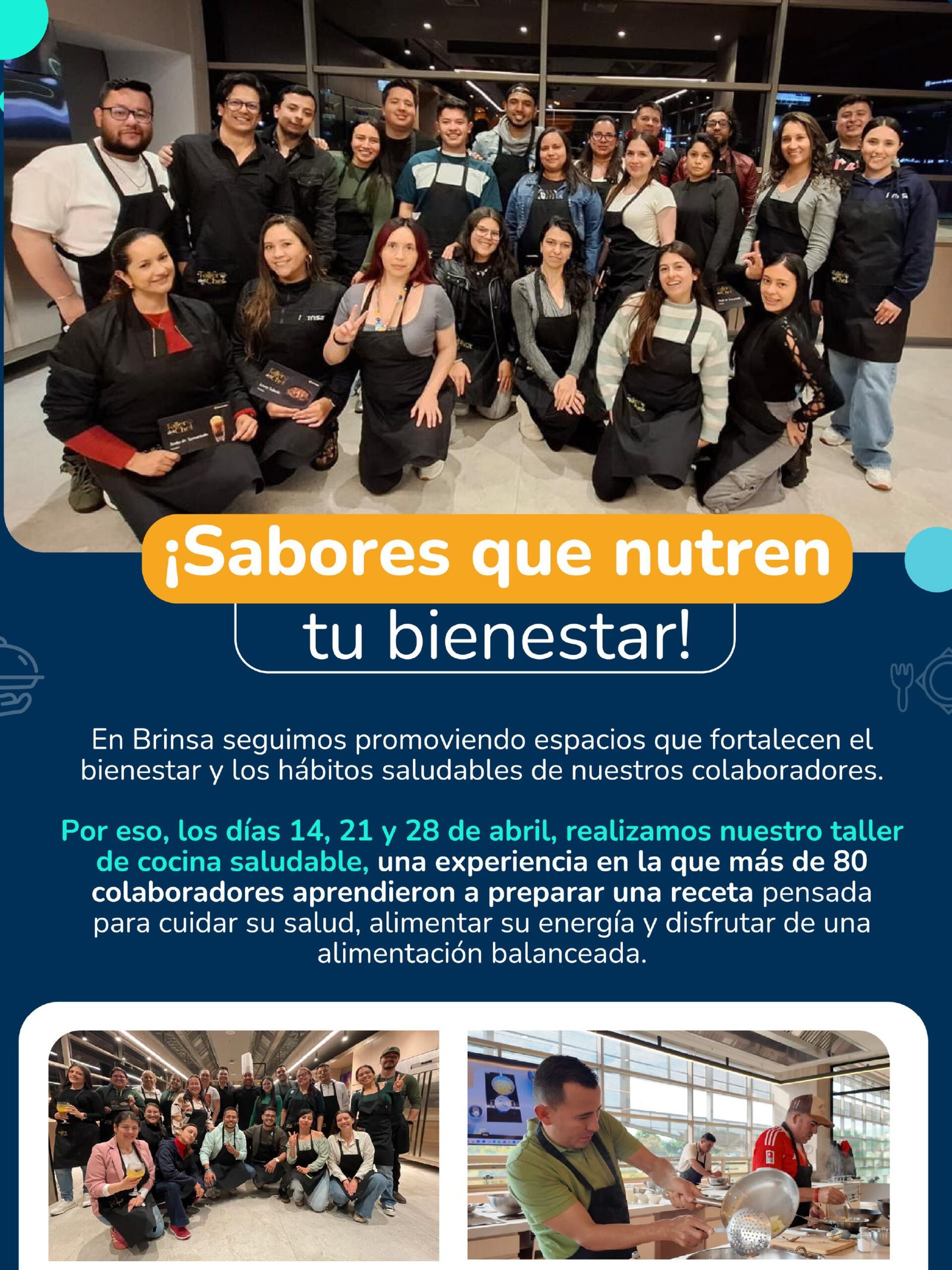 Brinsa boletin