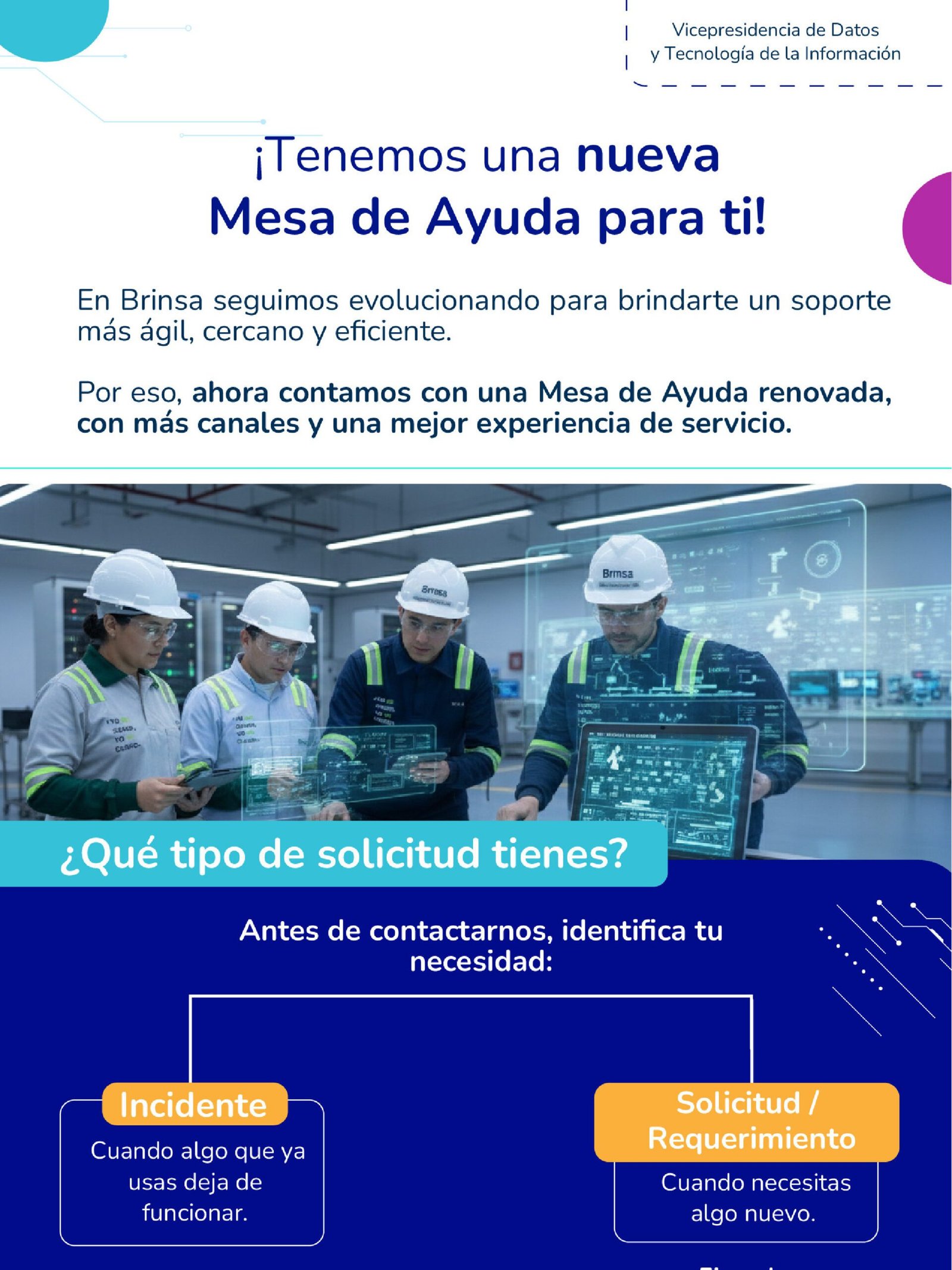 Brinsa boletin