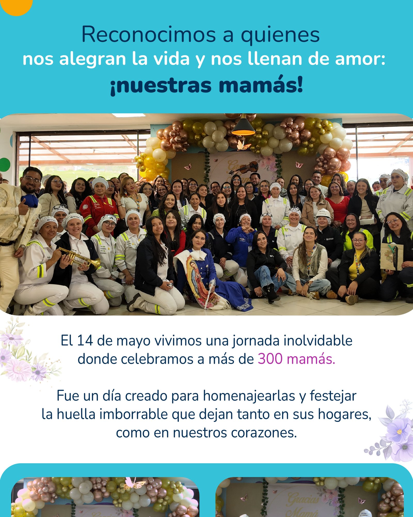 Brinsa boletin