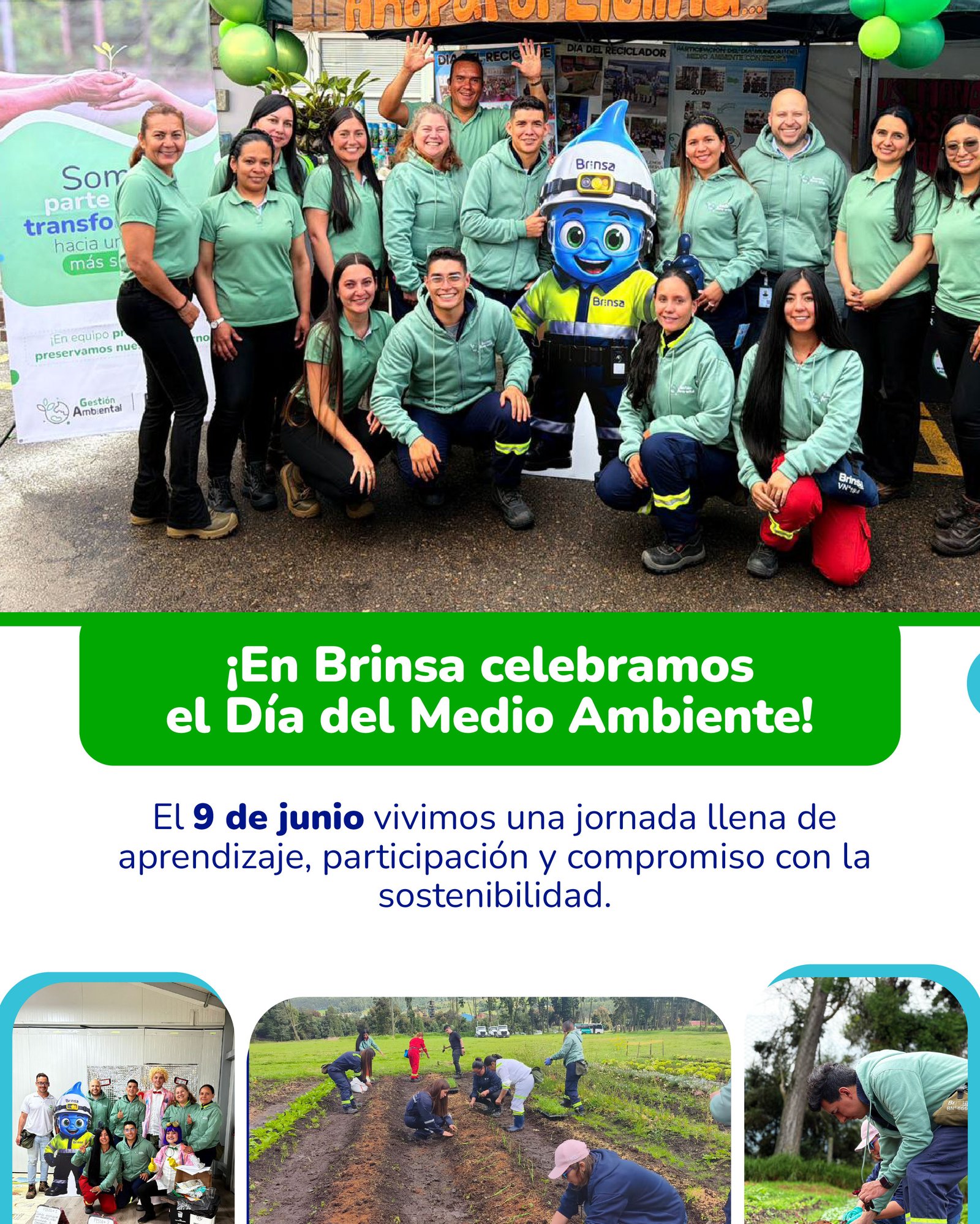 Brinsa boletin