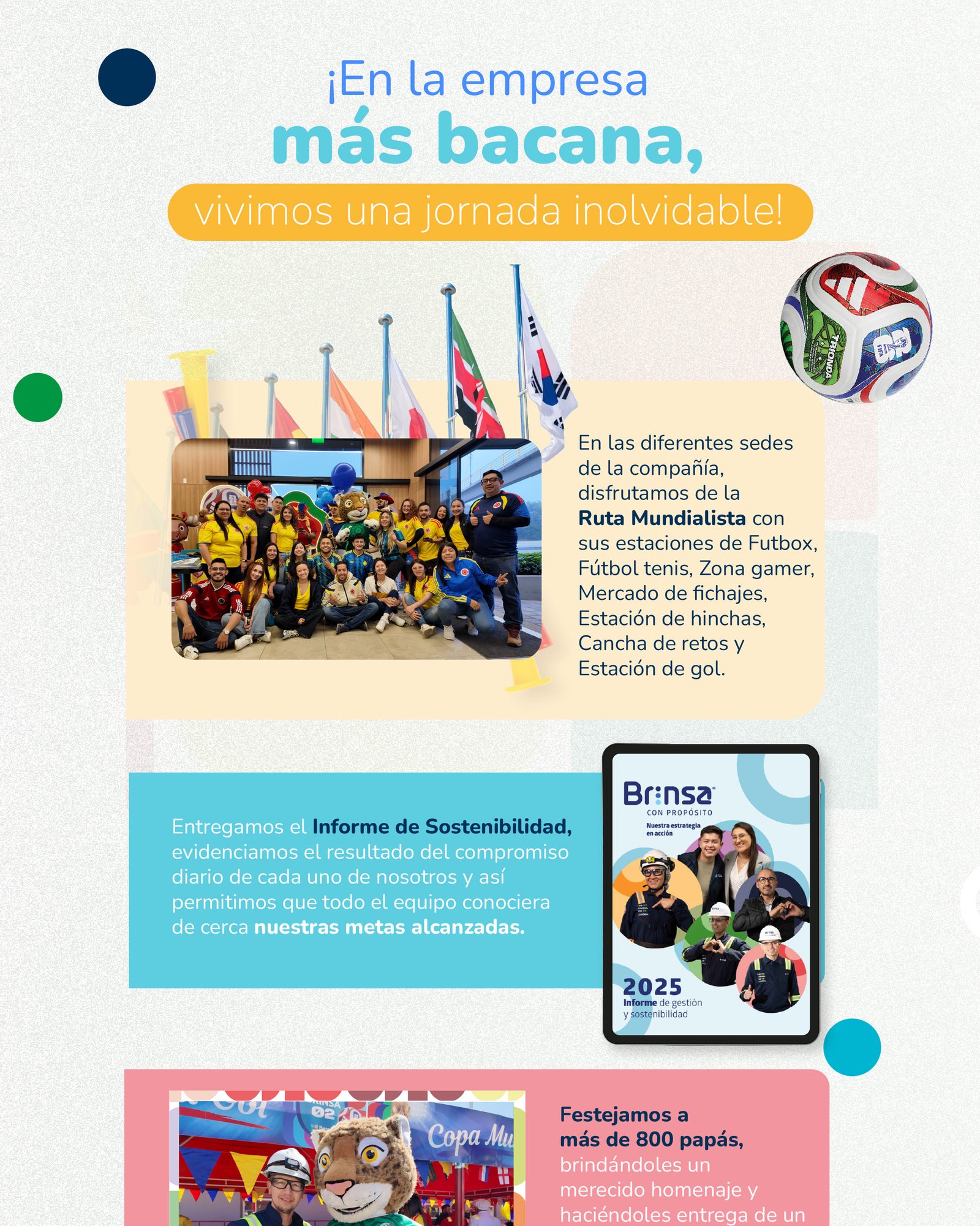 Brinsa boletin