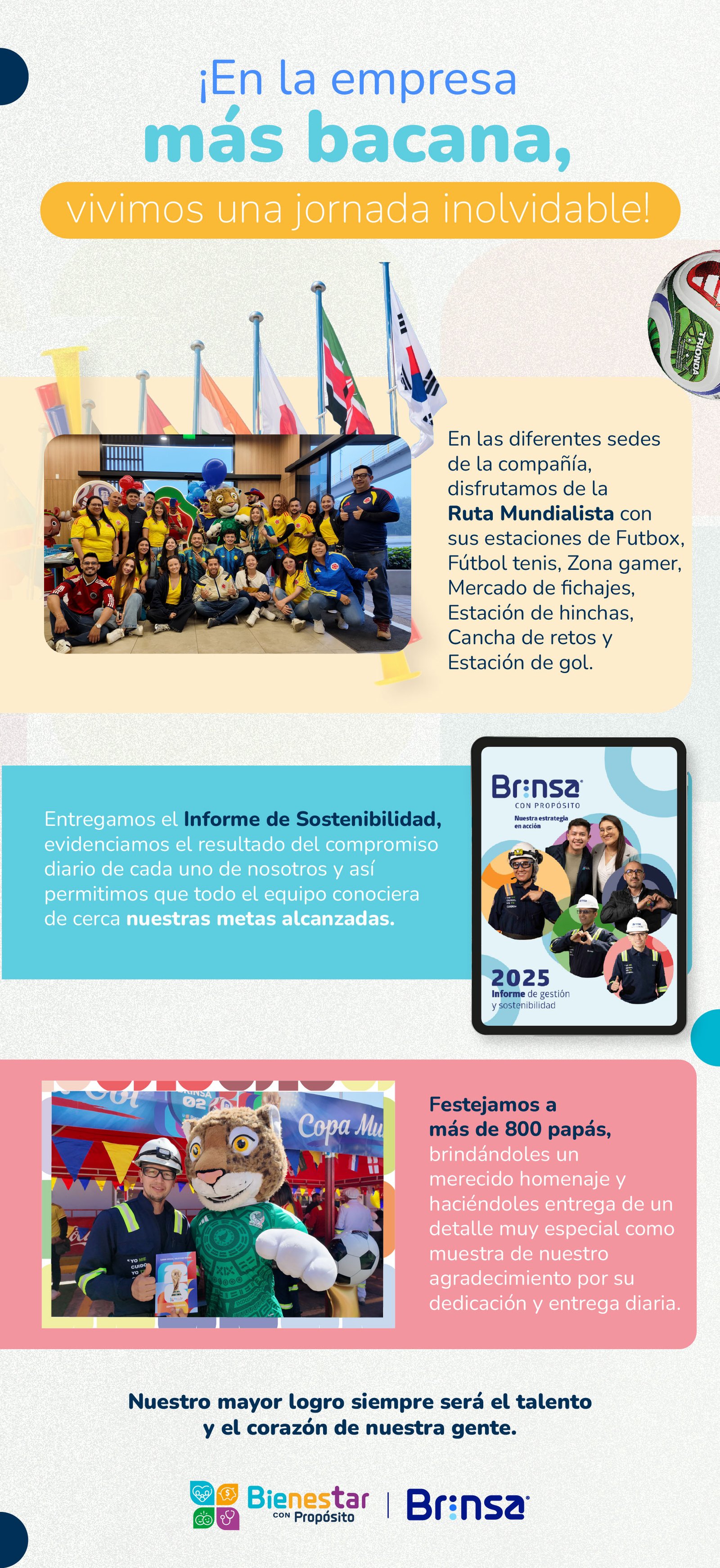 Banner Brinsa