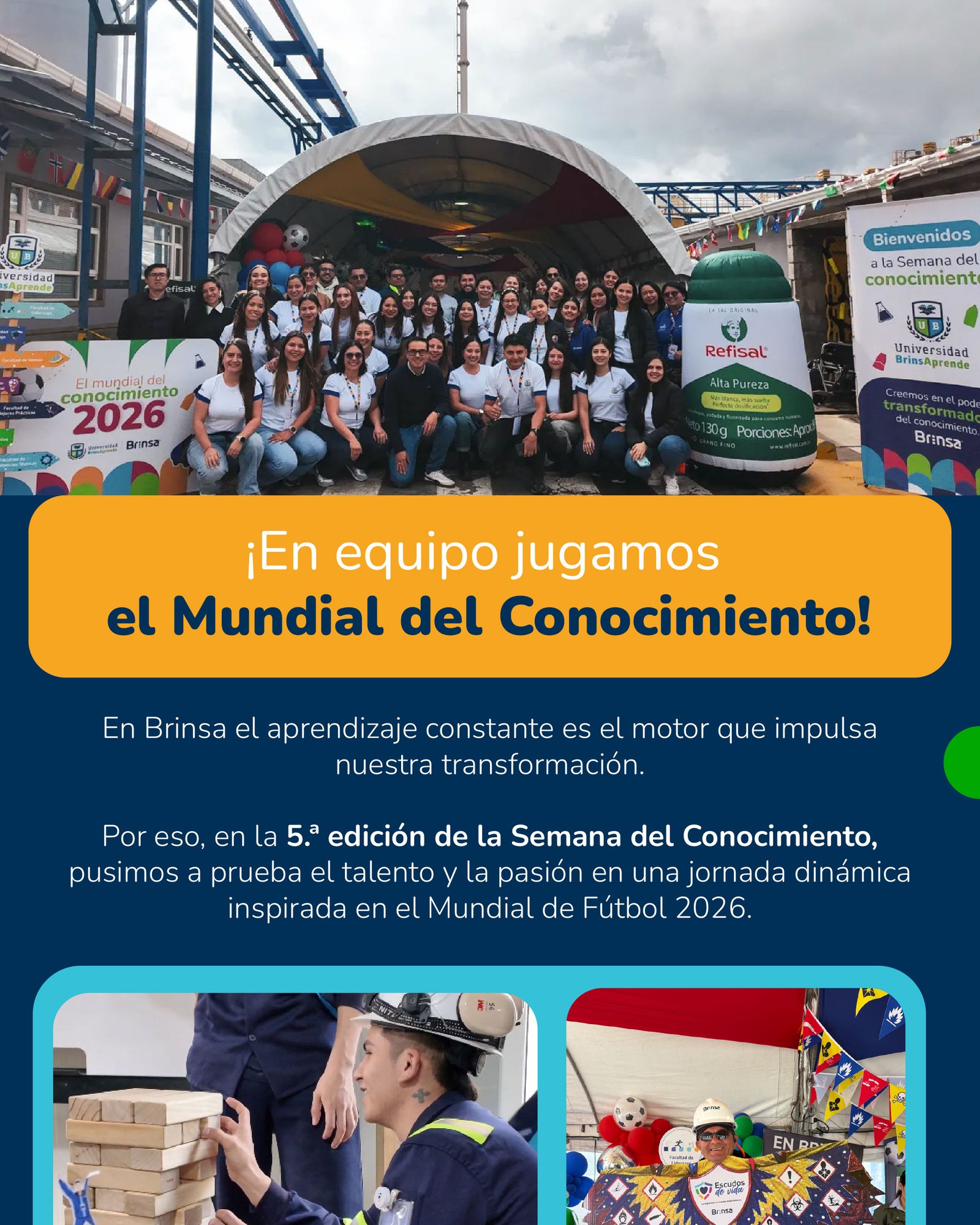 Brinsa boletin